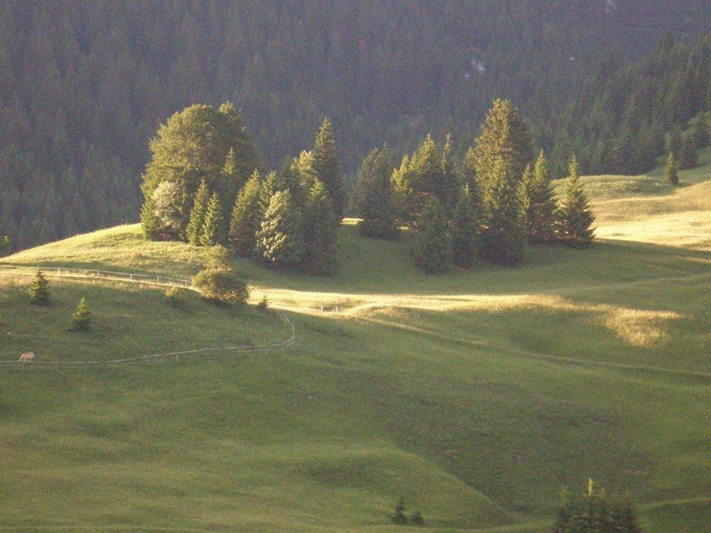 Alpenhof "Alt Laehn" Hotel Bagian luar foto